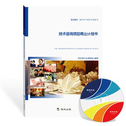 旗訊網技術咨詢項目商業計劃書